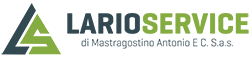 Larioservice S.a.s. Logo